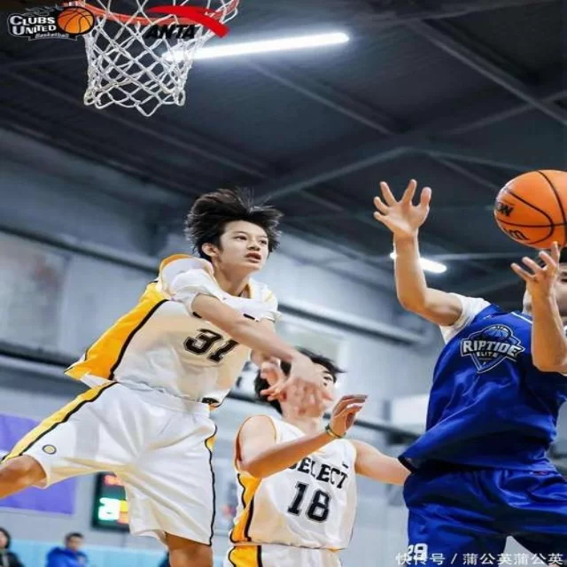 电竞季后赛阵容调整与战术变化深度解析